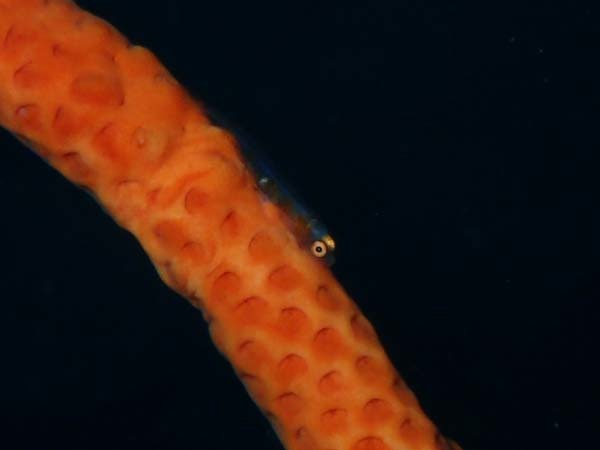 d0164831_18123809.jpg