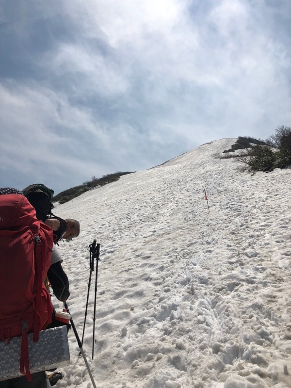 【GW・YOC登山2018】雪と花と藪もある春の越後駒ヶ岳　by　おんせん_b0094033_09473177.jpg