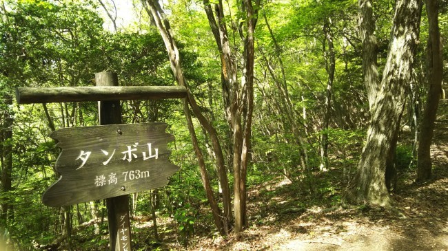 c0077338_08511136.jpg