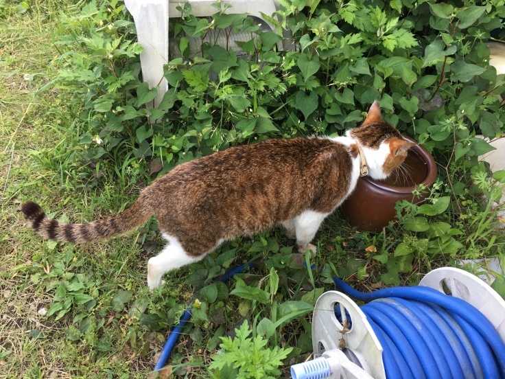 b0060239_20564347.jpeg