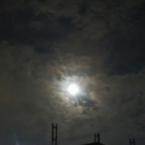 c0076939_00073645.jpg