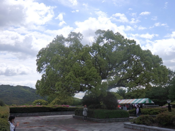 a0054240_21314305.jpg