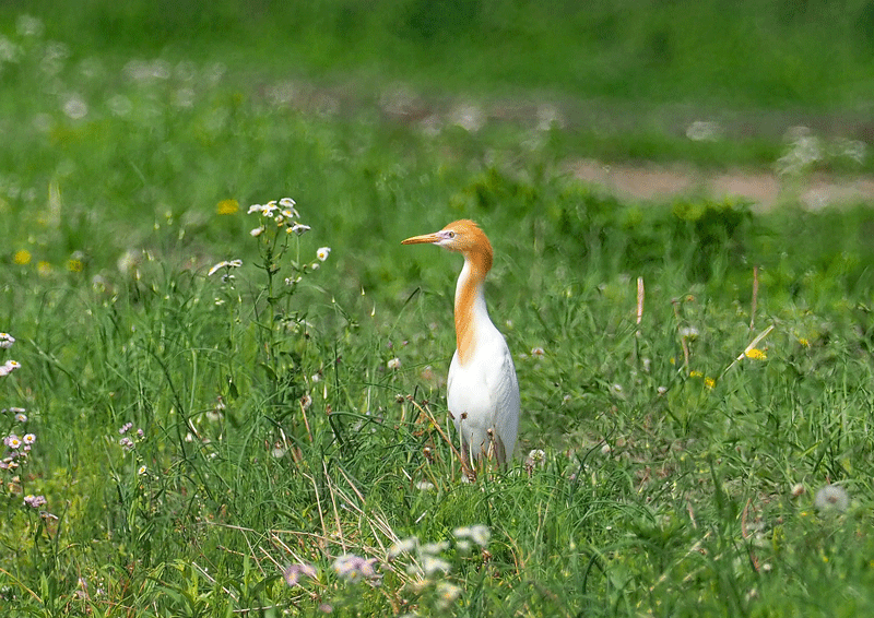d0290240_08420201.gif