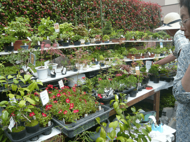 c0365341_21081943.gif