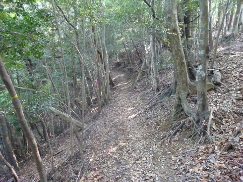 b0282042_12571628.jpg