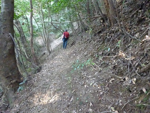 b0282042_12593537.jpg