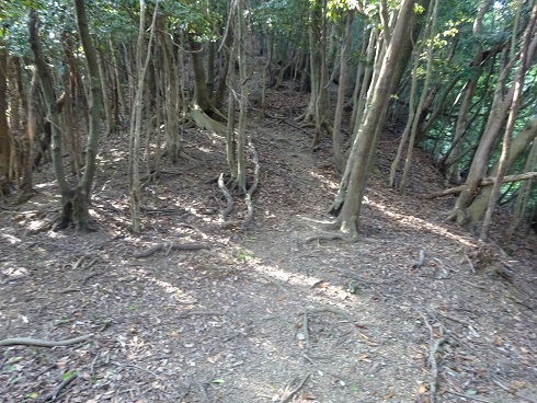b0282042_13485433.jpg