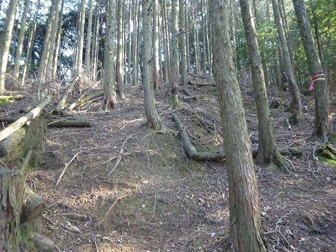 b0282042_13564890.jpg