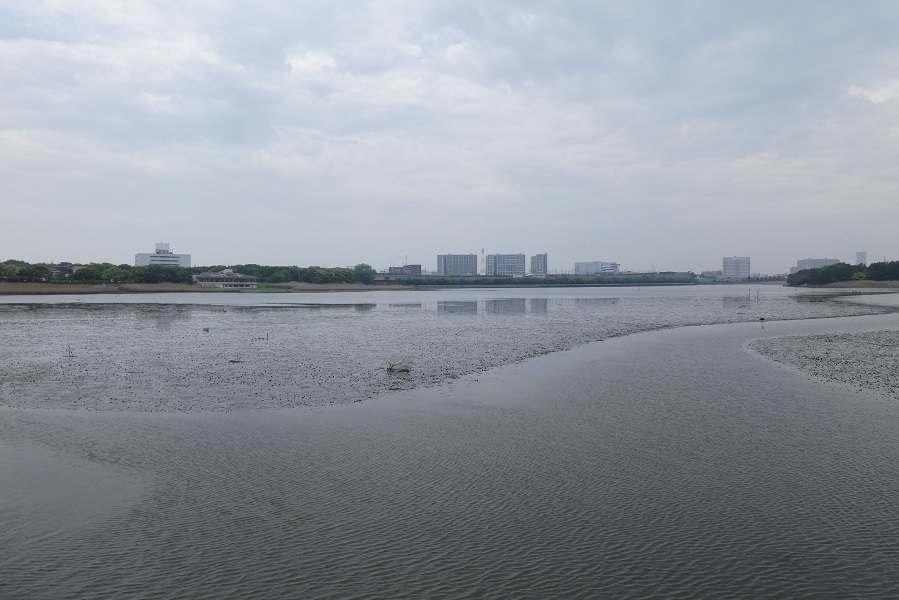 d0288144_18560279.jpg