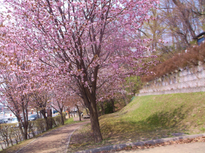 c0006745_04501302.jpg