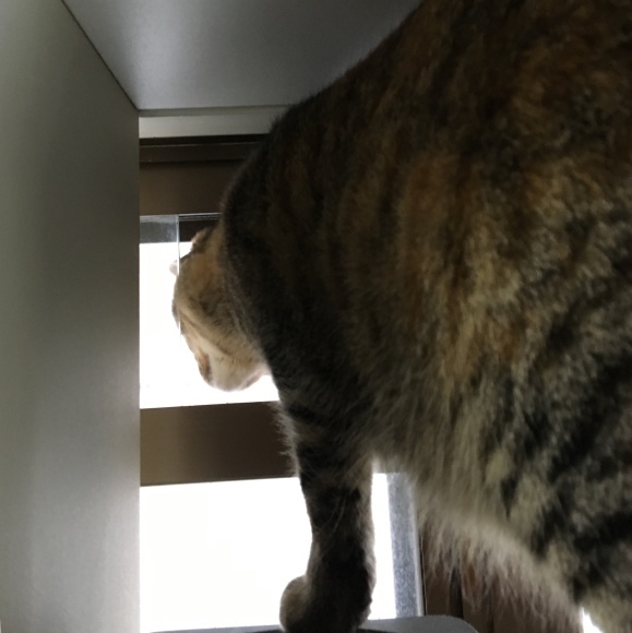 f0372445_14074456.jpeg