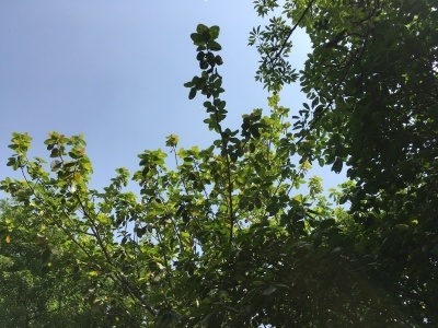 b0279847_16435093.jpeg