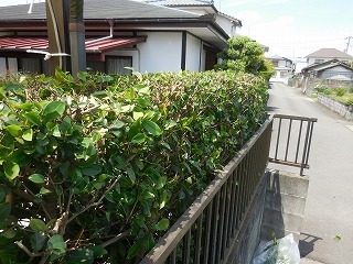 c0203348_17045146.jpg