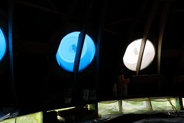 c0332548_12344410.jpg