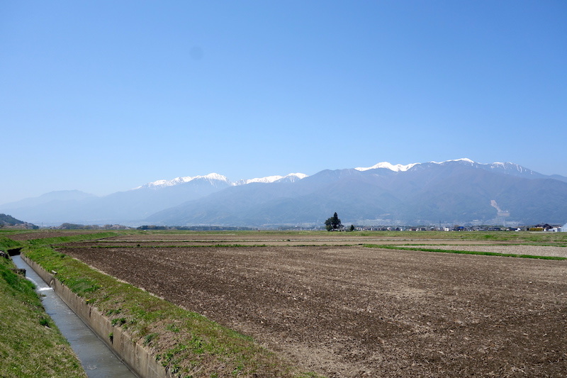 b0325549_20153676.jpg