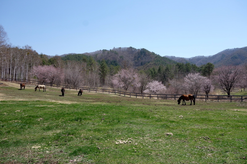 b0325549_20154564.jpg