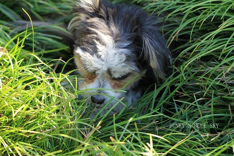 c0145250_09252946.jpg