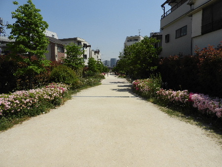 e0172950_2051164.jpg