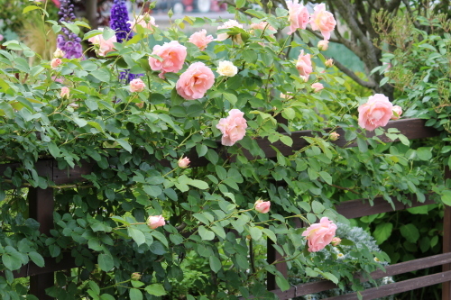 b0246758_20212168.jpg