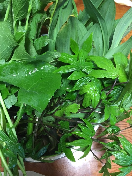 b0093660_21184796.jpeg