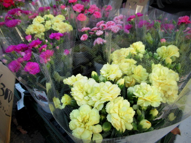 f0236260_01164450.jpg