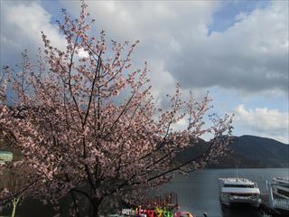 中禅寺湖にて　男体山と桜を見る会、結成☆_d0045362_10193886.jpg