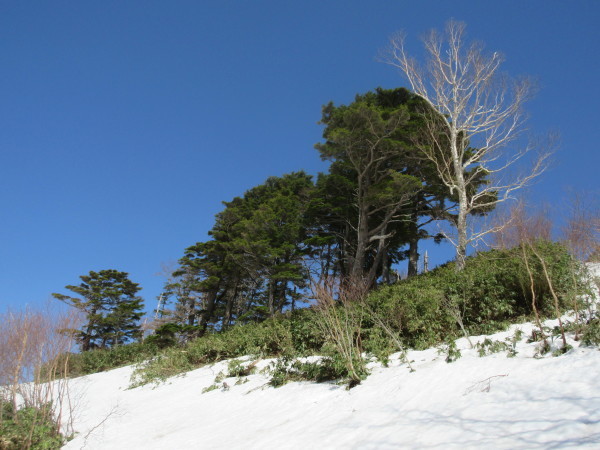 d0010065_11590328.jpg