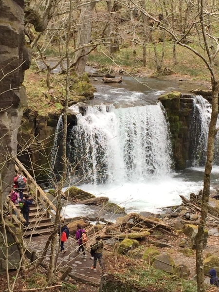 f0350468_14154099.jpg