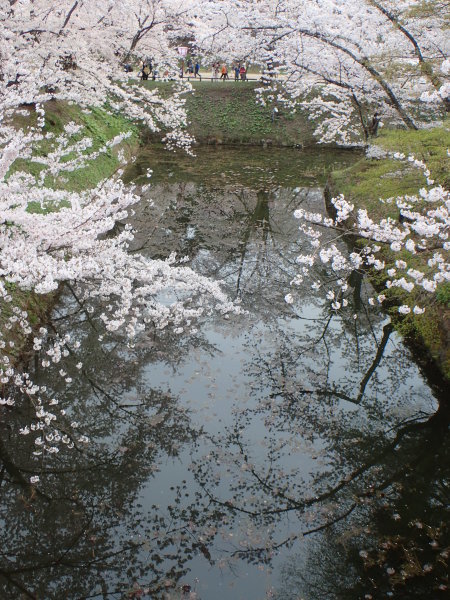f0350468_14315262.jpg