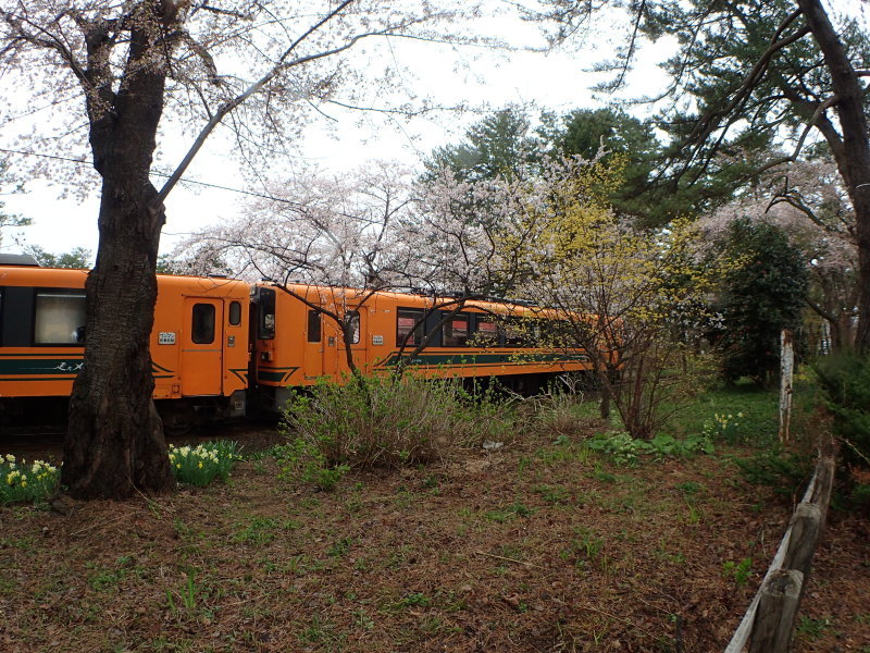 f0350468_15520202.jpg