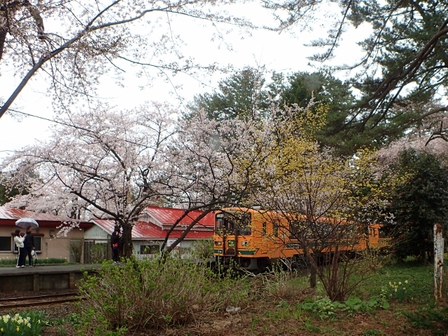 f0350468_15525374.jpg