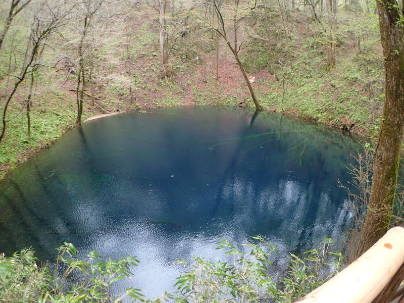 f0350468_20140596.jpg