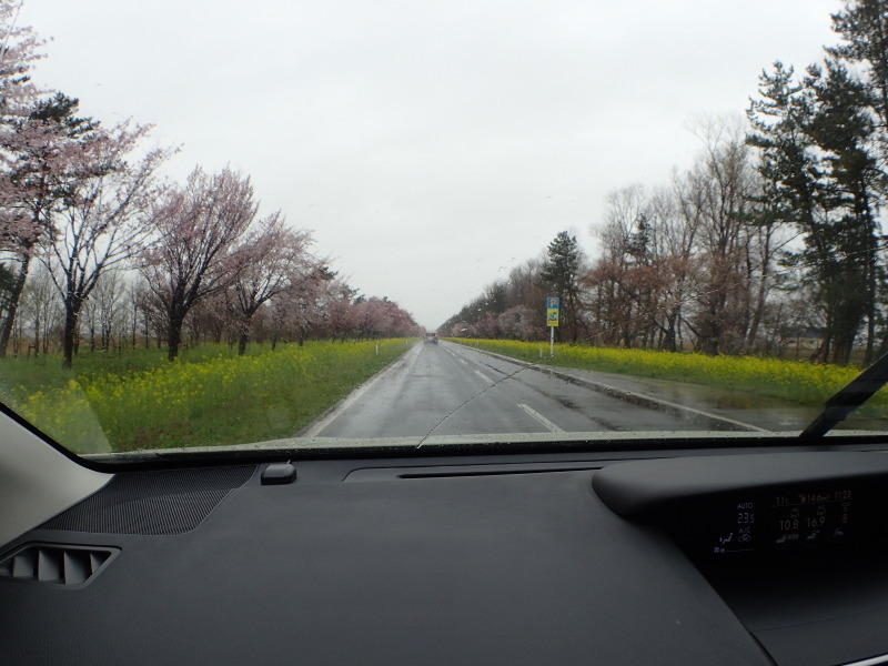 f0350468_20183718.jpg