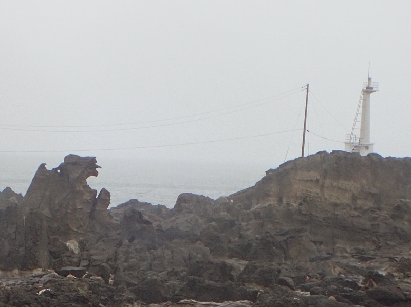 f0350468_20374451.jpg