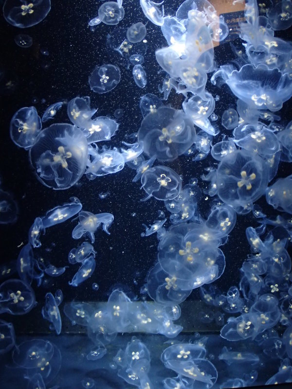 f0350468_21233023.jpg