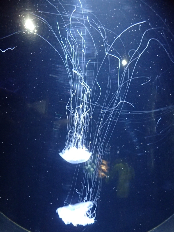 f0350468_21280453.jpg