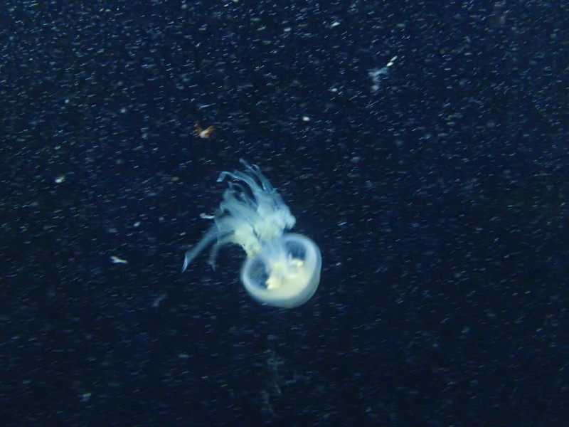 f0350468_21302281.jpg