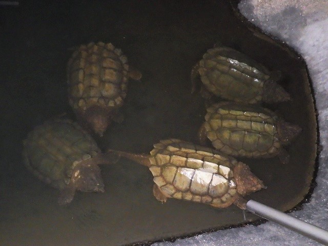 c0105569_00202686.jpg