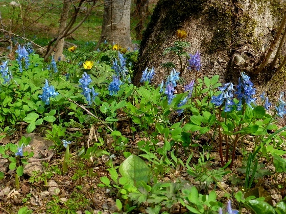 d0084473_15525107.jpg
