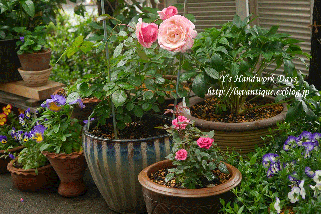 f0330978_16550085.gif