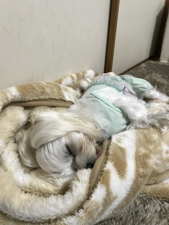 b0193480_14301266.jpeg