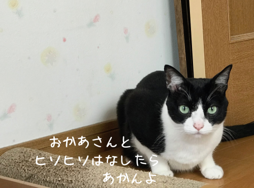 a0216583_13234427.png