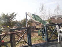 d0017084_910452.jpg