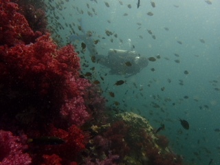 f0144385_19562963.jpg