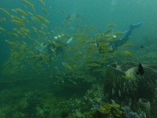 f0144385_19562994.jpg