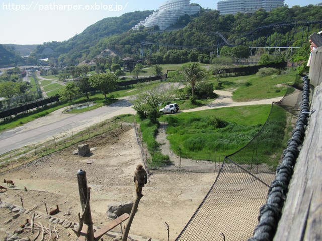 a0052986_9371390.jpg