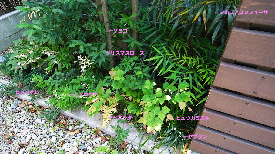 b0061387_13544725.jpg