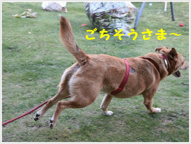 b0175688_20351322.gif