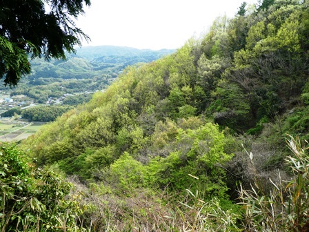 c0018489_10495630.jpg