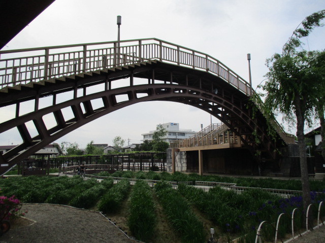f0362589_07585837.jpg